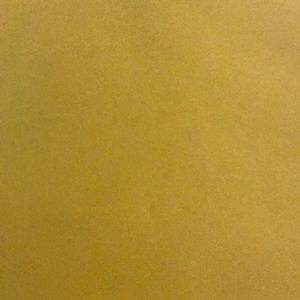 Meet your Posher, Josie